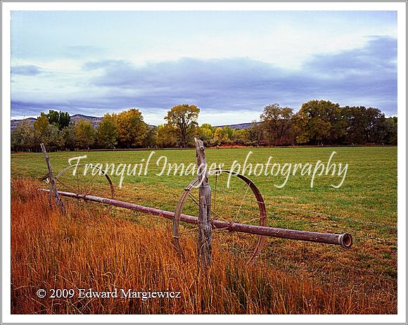 450584   Pastures near Escalante